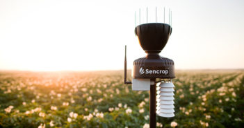 To drill or not to drill ? Ask Sencrop…