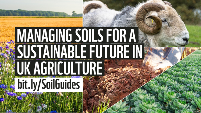 Soil Health Initiative guides launched to help farmers manage their soil