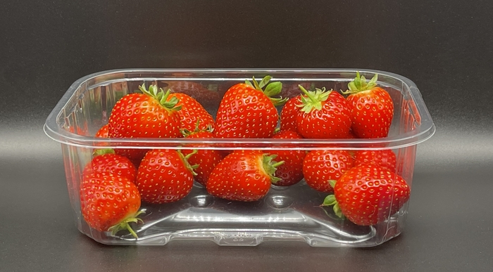 Waddington Europe offers new punnet that’s easier to recycle, uses less plastic