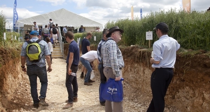 Exhibitors set their sights on Cereals 2022
