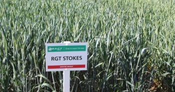 Outstanding trio of RAGT varieties promoted to Recommended List