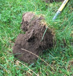 Soils: Balbirnie Home Farms have got it covered.