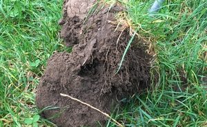 Enhancing soil health classroom launched Soils: Balbirnie Home Farms have got it covered.