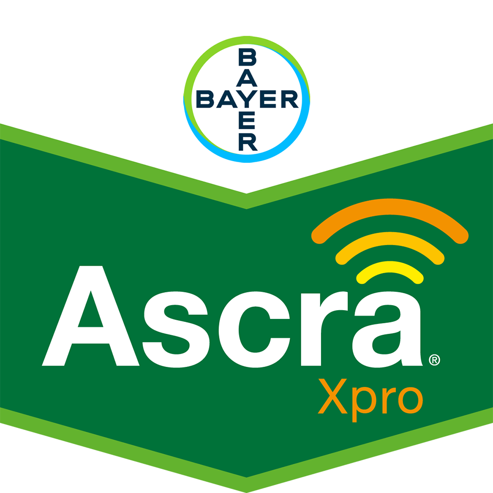Bayer’s Ascra fungicide now authorised for use in barley