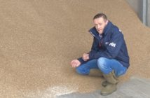 Managing nitrogen with a realistic eye on yield potential