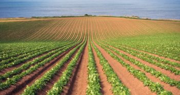 Potato conference signposts new direction for industry