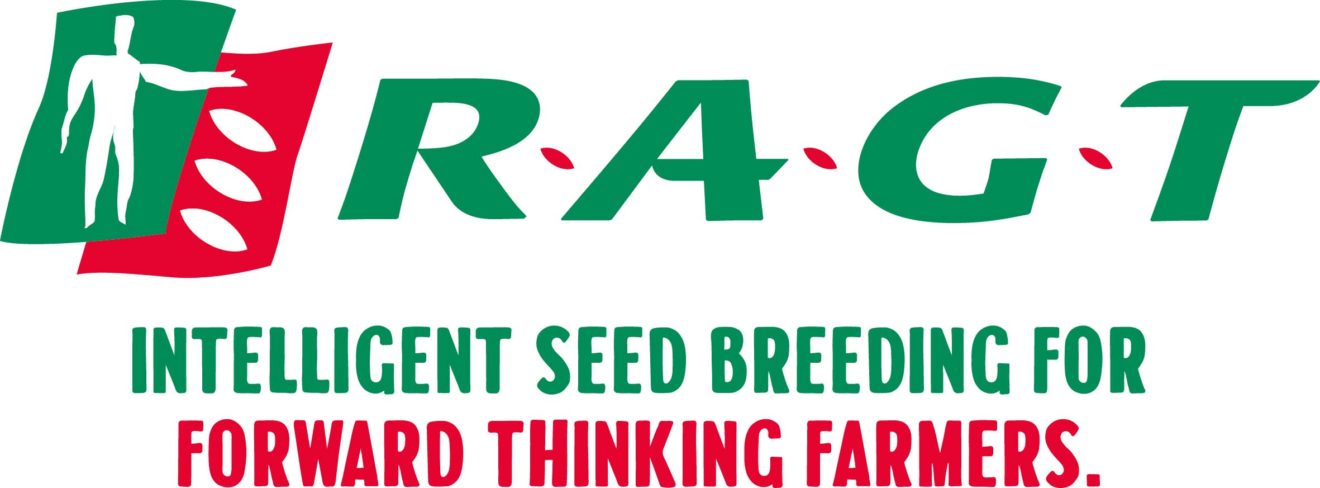RAGT’s pipeline BYDV-resistant wheats put to the test
