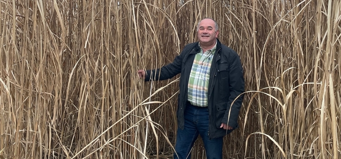Norfolk Miscanthus farm walk discusses soil health benefits and new planting finance