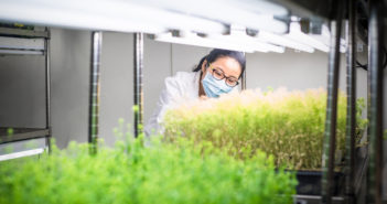 Gene editing red tape cut Gene editing red tape cut