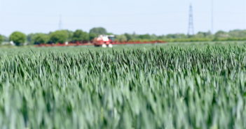 UK plant breeders support transparency on precision breeding techniques Trials data shows impressive yield advantage for UnivoqTM fungicide