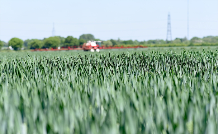 Trials data shows impressive yield advantage for UnivoqTM fungicide