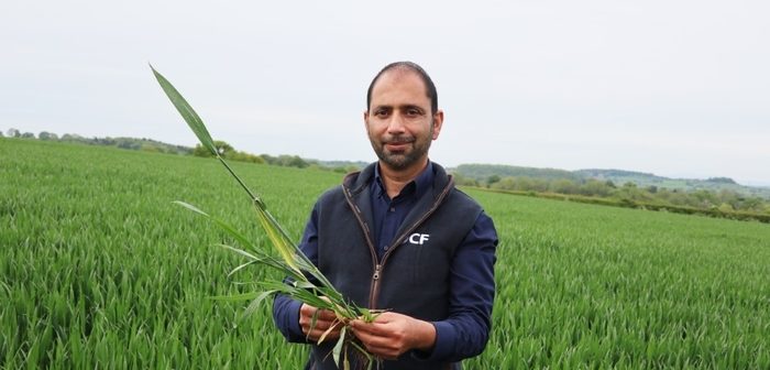NATIONAL UK FARM TRIALS CONFIRM SUPERIORITY OF SOIL NITROGEN N-MIN TEST