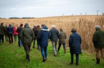 Cheshire farm walk showcases crop providing energy security in the UK