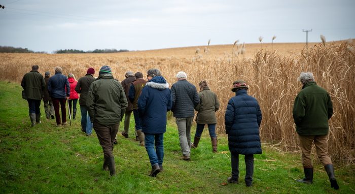 Cheshire farm walk showcases crop providing energy security in the UK