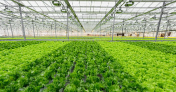 Tomtech helps create ideal environment as government encourages more producers to grow under glass
