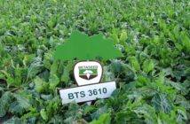 Focus on security and on-farm performance reflected in new sugar beet recommendations