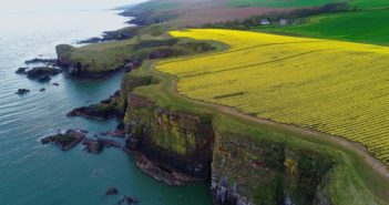 Two Scottish farming co-ops back project to tackle nematodes in daffodils and potatoes