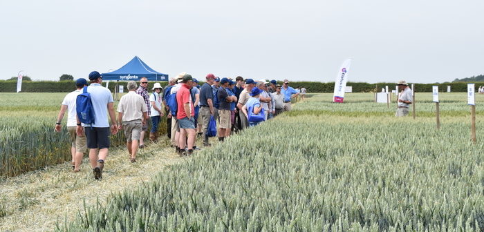 Popular Arable Event returns following Covid absence