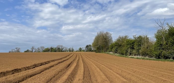 Dry spell may alter potato growers’ herbicide strategies this spring