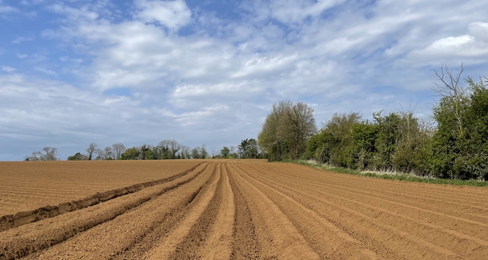 Dry spell may alter potato growers’ herbicide strategies this spring