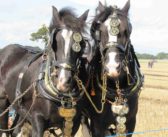 British ploughing visits new county