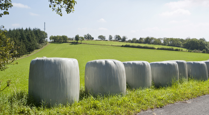 Beware Bale Contamination News From AA Farmer