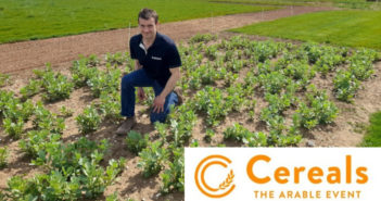 Cereals Crop Plots – an interview with Senova’s Tom Yewbrey