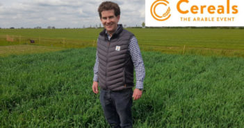 Cereals Crop Plots – an interview with Will Compson from KWS