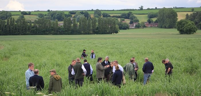Lincolnshire farm walk explores ideal solution for problem land