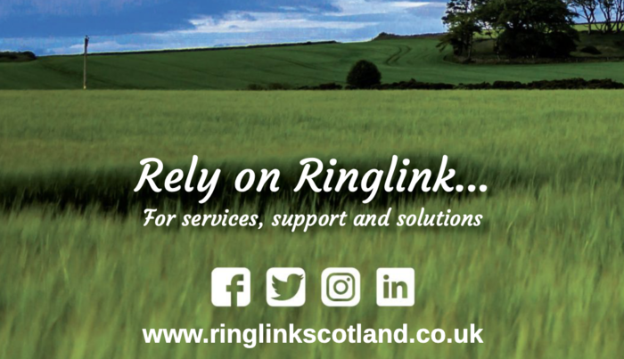 Ringlink seeks new board members