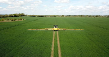 High levels of septoria found in wheat plant samples as T2 sprays are prepared