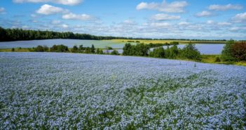 regenagri launches carbon standard to help fund the transition to regenerative agriculture