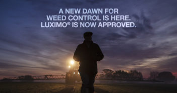 BASF’s Luximo® herbicide active substance approved in Great Britain