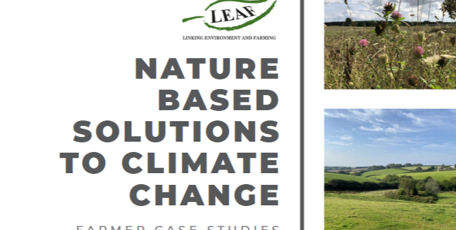 LEAF Farmers Advance Their Net-Zero Commitments
