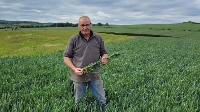 LG Astronomer is full of potential for Hampshire farmer