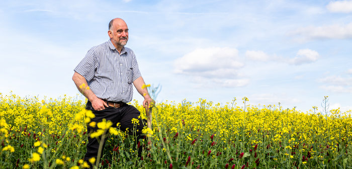 Considering conventional oilseeds