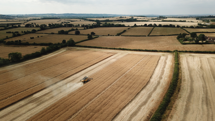Farmland values expected to hold firm in the face of 40-year inflation high