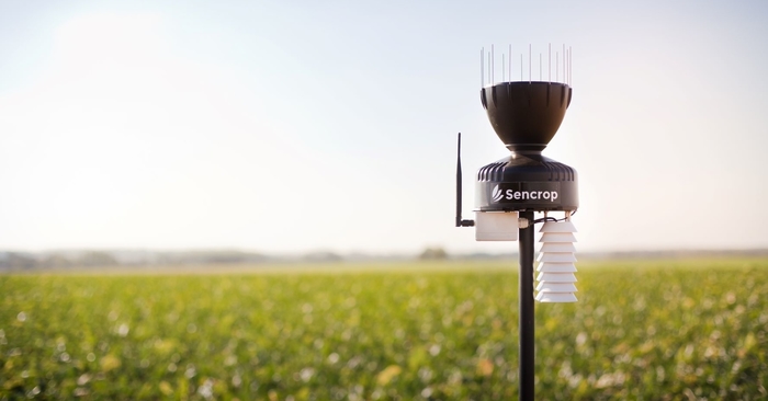 Sencrop works with BBRO to develop agronomic indicator for Cercospora