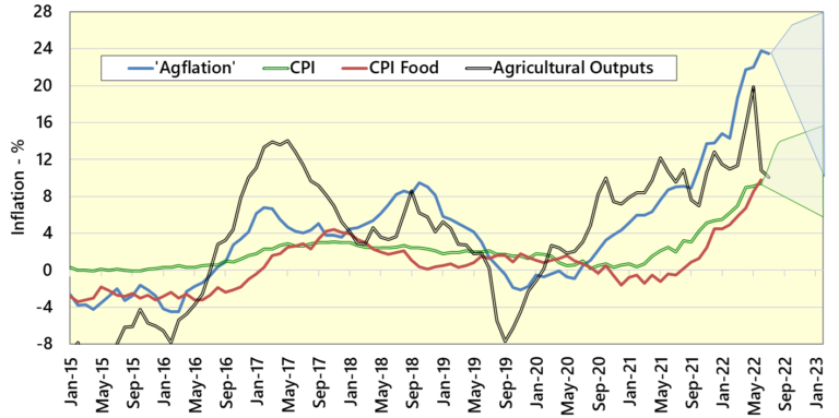 Agflation is more than double agricultural outputs, as grain prices ...