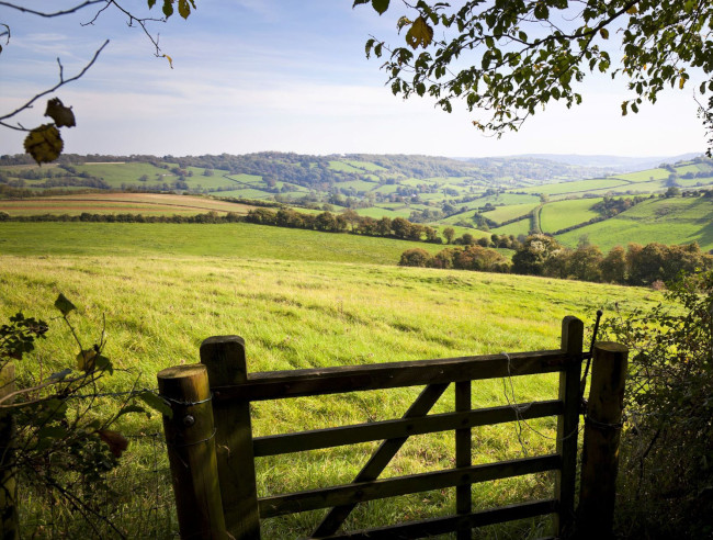 Independent commission to review farm assurance schemes