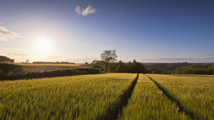 Government payment to farmers who protect and enhance the environment