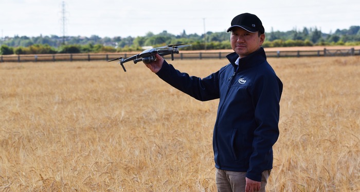 Drones proven to aid plant breeding in identifying valuable new crop traits