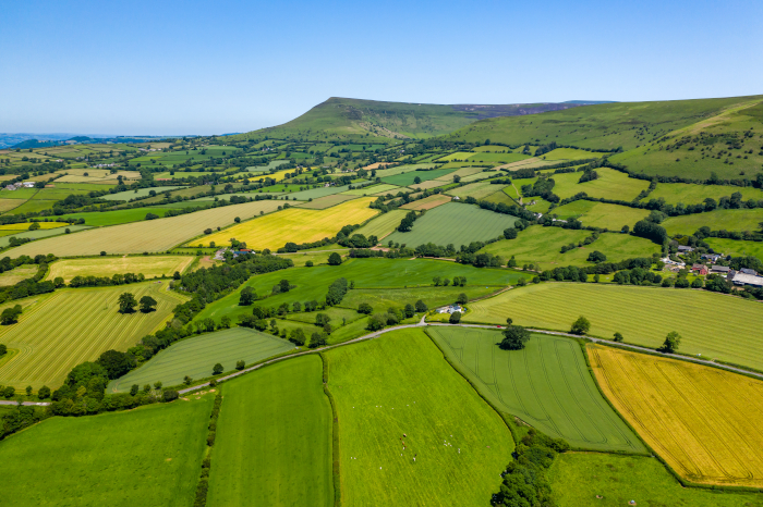 Landscape Recovery funding scheme to become available to farmers