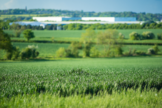 Increased organic land use could help reach environmental targets, OF&G finds