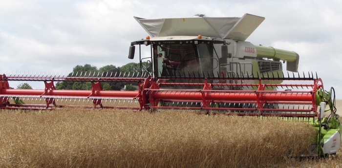 Impressive yields from Tennyson despite dry harvest conditions