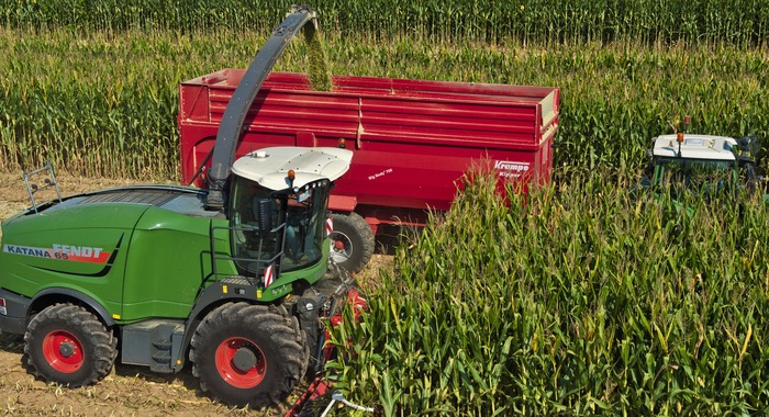Extra care will pay dividends when harvesting valuable maize crops this season