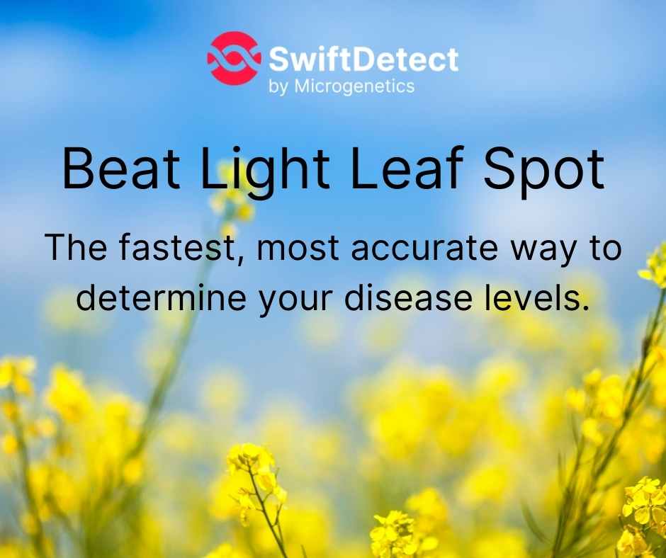 Light Leaf Spot