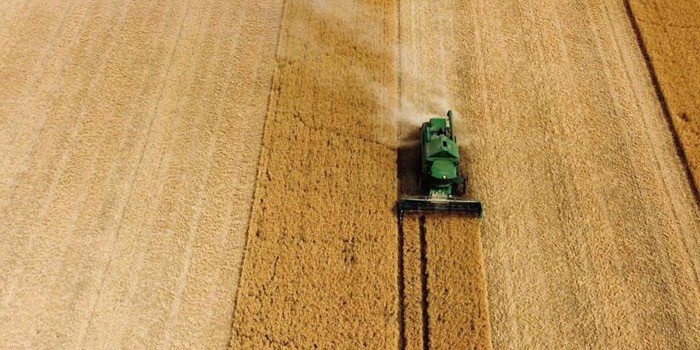 Potential for barley exports into EU next season