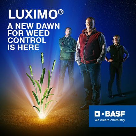 Luximo® is now available as Luxinum® Plus + Stomp® Aqua