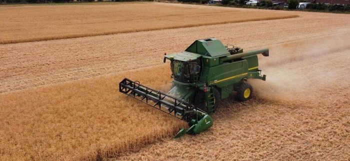 Neutral November stalls grain prices